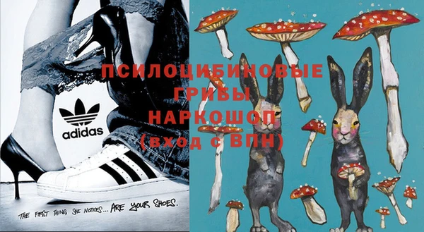 каннабис Белокуриха
