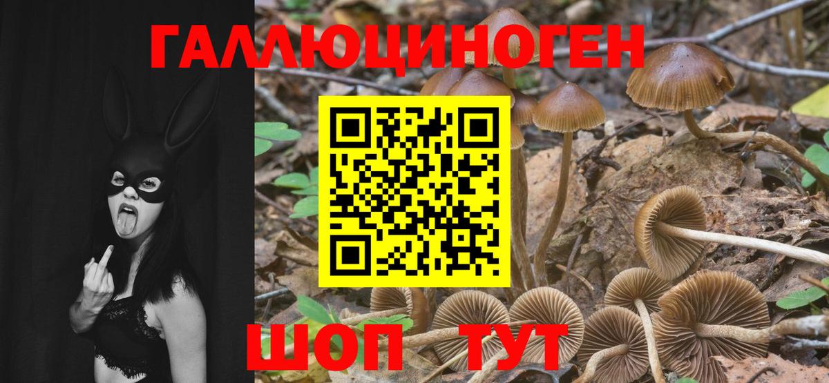 Галлюциногенные грибы мицелий Бузулук