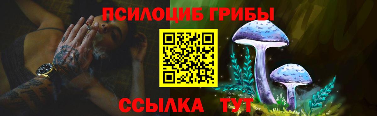 Галлюциногенные грибы прущие грибы Бузулук